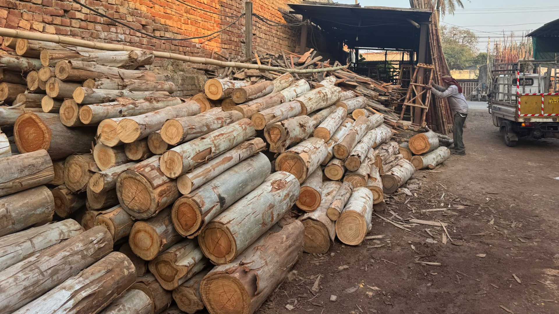 Wood Export